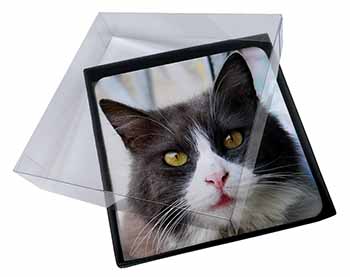 4x Pretty Black and White Cat Picture Table Coasters Set in Gift Box