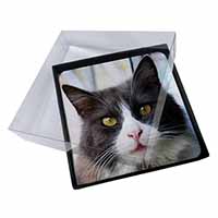 4x Pretty Black and White Cat Picture Table Coasters Set in Gift Box