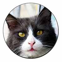 Pretty Black and White Cat Fridge Magnet Printed Full Colour