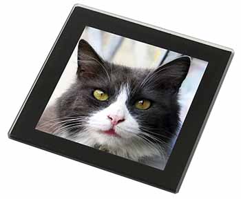 Pretty Black and White Cat Black Rim High Quality Glass Coaster