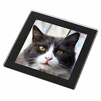 Pretty Black and White Cat Black Rim High Quality Glass Coaster