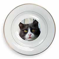 Pretty Black and White Cat Gold Rim Plate Printed Full Colour in Gift Box