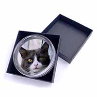 Pretty Black and White Cat Glass Paperweight in Gift Box