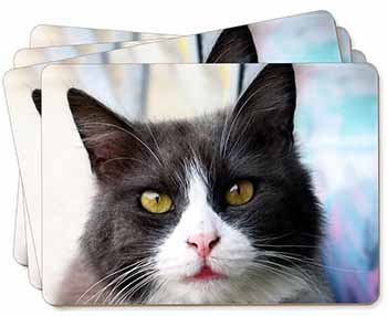 Pretty Black and White Cat Picture Placemats in Gift Box