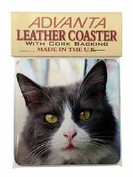 Pretty Black and White Cat Single Leather Photo Coaster