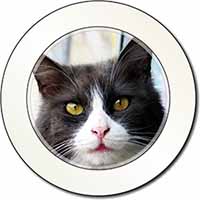 Pretty Black and White Cat Car or Van Permit Holder/Tax Disc Holder