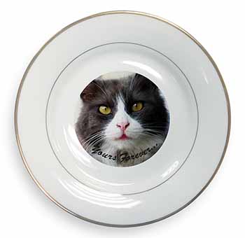 Black and White Cat 