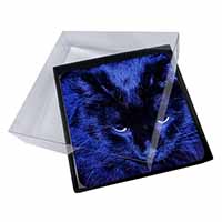 4x Black Cat Face in Blue Light Picture Table Coasters Set in Gift Box - Advanta Group®