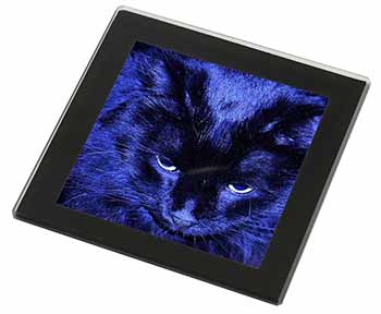 Black Cat Face in Blue Light Black Rim High Quality Glass Coaster
