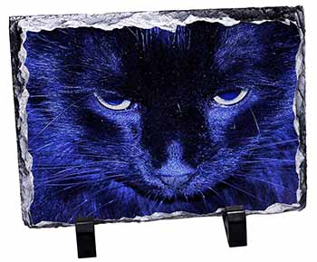 Black Cat Face in Blue Light, Stunning Photo Slate Printed Full Colour - Advanta
