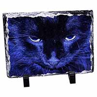 Black Cat Face in Blue Light, Stunning Photo Slate Printed Full Colour - Advanta Group®