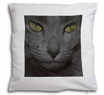 Grey Cats Face Close-Up Soft White Velvet Feel Scatter Cushion