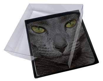 4x Grey Cats Face Close-Up Picture Table Coasters Set in Gift Box