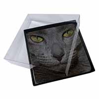 4x Grey Cats Face Close-Up Picture Table Coasters Set in Gift Box