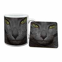 Grey Cats Face Close-Up Mug and Coaster Set