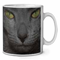 Grey Cats Face Close-Up Ceramic 10oz Coffee Mug/Tea Cup