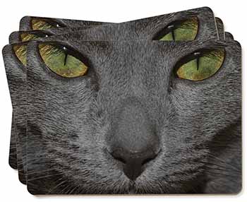 Grey Cats Face Close-Up Picture Placemats in Gift Box