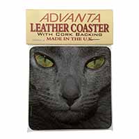 Grey Cats Face Close-Up Single Leather Photo Coaster