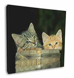 Kittens in Beer Barrel Square Canvas 12"x12" Wall Art Picture Print