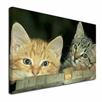Kittens in Beer Barrel Canvas X-Large 30"x20" Wall Art Print