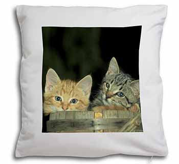 Kittens in Beer Barrel Soft White Velvet Feel Scatter Cushion