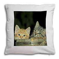 Kittens in Beer Barrel Soft White Velvet Feel Scatter Cushion