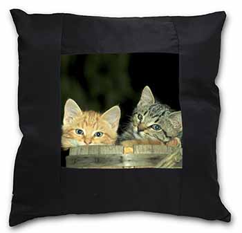 Kittens in Beer Barrel Black Satin Feel Scatter Cushion