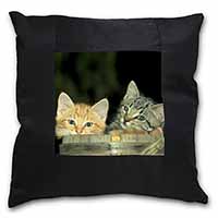 Kittens in Beer Barrel Black Satin Feel Scatter Cushion