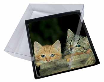 4x Kittens in Beer Barrel Picture Table Coasters Set in Gift Box