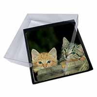 4x Kittens in Beer Barrel Picture Table Coasters Set in Gift Box