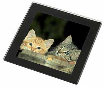 Kittens in Beer Barrel Black Rim High Quality Glass Coaster