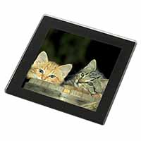 Kittens in Beer Barrel Black Rim High Quality Glass Coaster