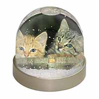 Kittens in Beer Barrel Snow Globe Photo Waterball