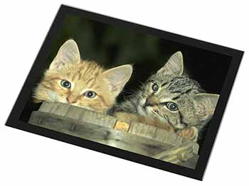 Kittens in Beer Barrel Black Rim High Quality Glass Placemat