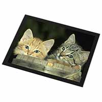 Kittens in Beer Barrel Black Rim High Quality Glass Placemat