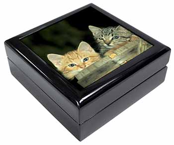 Kittens in Beer Barrel Keepsake/Jewellery Box