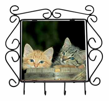 Kittens in Beer Barrel Wrought Iron Key Holder Hooks