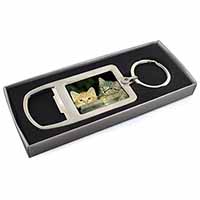 Kittens in Beer Barrel Chrome Metal Bottle Opener Keyring in Box