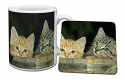 Kittens in Beer Barrel Mug and Coaster Set