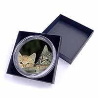 Kittens in Beer Barrel Glass Paperweight in Gift Box