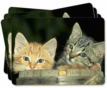 Kittens in Beer Barrel Picture Placemats in Gift Box