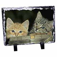 Kittens in Beer Barrel, Stunning Photo Slate