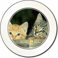 Kittens in Beer Barrel Car or Van Permit Holder/Tax Disc Holder