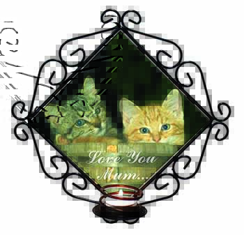 Kittens in Beer Barrel 
