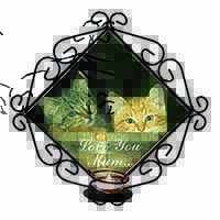Kittens in Beer Barrel 