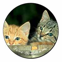 Kittens in Beer Barrel 