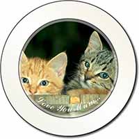 Kittens in Beer Barrel 