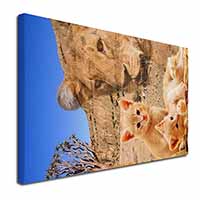 Fantasy Spirit Lion Watch on Ginger Kittens Canvas X-Large 30"x20" Wall Art Prin