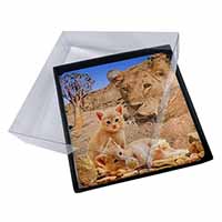 4x Fantasy Spirit Lion Watch on Ginger Kittens Picture Table Coasters Set in Gif