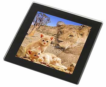 Fantasy Spirit Lion Watch on Ginger Kittens Black Rim High Quality Glass Coaster